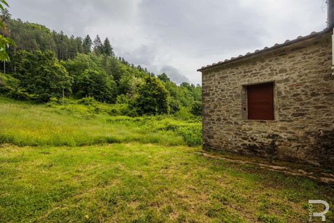 Farm hus i Bibbiena, Arezzo, Bibbiena - € 700.000 | Ref: R06394BIRU-1330085 - foto 24