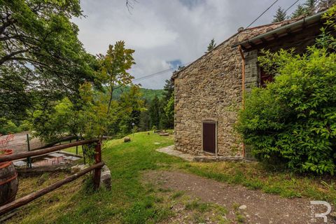 Farm hus i Bibbiena, Arezzo, Bibbiena - € 700.000 | Ref: R06394BIRU-1330085 - foto 25