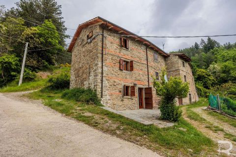 Farm hus i Bibbiena, Arezzo, Bibbiena - € 700.000 | Ref: R06394BIRU-1330085 - foto 27