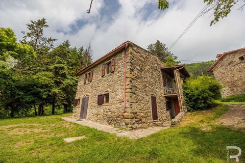 Farm hus i Bibbiena, Arezzo, Bibbiena - € 700.000 | Ref: R06394BIRU-1330085 - foto 32
