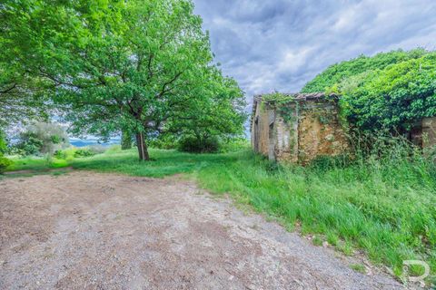 Farm hus i Volterra, Pisa, Volterra - € 700.000 | Ref: R06335VORU-1330739 - foto 7