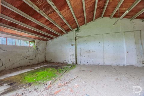 Farm hus i Volterra, Pisa, Volterra - € 700.000 | Ref: R06335VORU-1330739 - foto 10