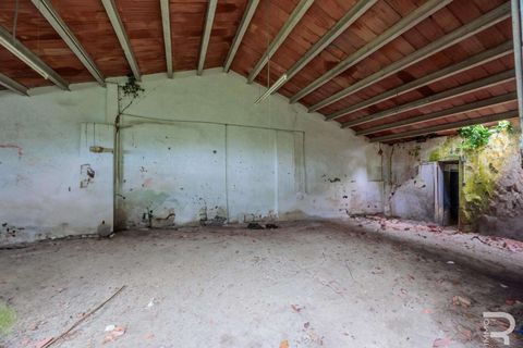 Farm hus i Volterra, Pisa, Volterra - € 700.000 | Ref: R06335VORU-1330739 - foto 11