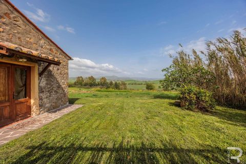 Farm hus i Manciano, Grosseto, Manciano - € 720.000 | Ref: R06319MARU-1331078 - foto 18