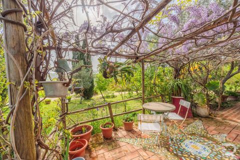 Farm hus i Manciano, Grosseto, Manciano - € 720.000 | Ref: R06319MARU-1331078 - foto 30