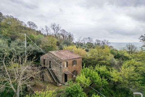 Farm hus i Sorano, Grosseto, Sorano - € 110.000 | Ref: R06315SOCA-1331129 - foto 2