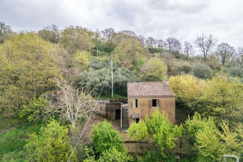 Farm hus i Sorano, Grosseto, Sorano - € 110.000 | Ref: R06315SOCA-1331129 - foto 3