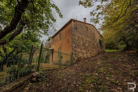 Farm hus i Sorano, Grosseto, Sorano - € 110.000 | Ref: R06315SOCA-1331129 - foto 4