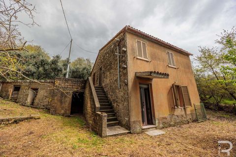 Farm hus i Sorano, Grosseto, Sorano - € 110.000 | Ref: R06315SOCA-1331129 - foto 5