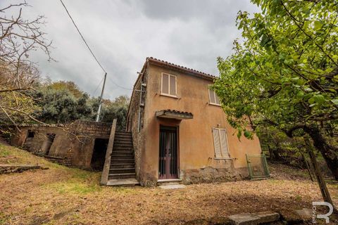 Farm hus i Sorano, Grosseto, Sorano - € 110.000 | Ref: R06315SOCA-1331129 - foto 6