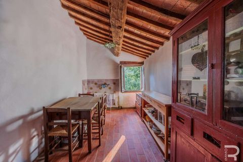 Farm hus i Cetona, Siena, Cetona - € 690.000 | Ref: R054912CERU-1331487 - foto 29