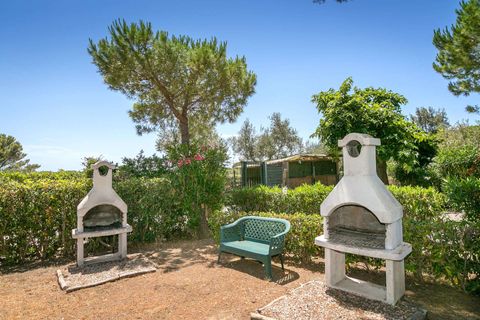 Lejlighed i Rosignano Marittimo, Livorno, Rosignano Marittimo - € 420.000 | Ref: R06260RO4Z-1331678 - foto 22