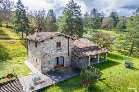 Farm hus i Chiusi della Verna, Arezzo, Chiusi della Verna - € 1.400.000 | Ref: R06254CHAG-1331750 - foto 24