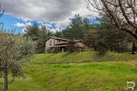Farm hus i Chiusi della Verna, Arezzo, Chiusi della Verna - € 1.400.000 | Ref: R06254CHAG-1331750 - foto 46