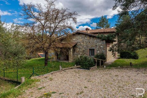 Farm hus i Chiusi della Verna, Arezzo, Chiusi della Verna - € 1.400.000 | Ref: R06254CHAG-1331750 - foto 49
