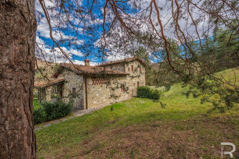 Farm hus i Chiusi della Verna, Arezzo, Chiusi della Verna - € 1.400.000 | Ref: R06254CHAG-1331750 - foto 50