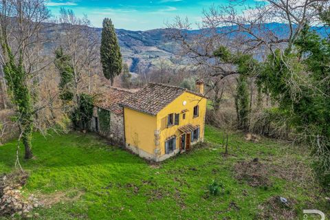 Farm hus i Pontassieve, Florence, Pontassieve - € 350.000 | Ref: R05104PORU-1331801 - foto 2