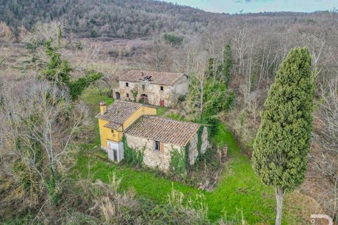 Farm hus i Pontassieve, Florence, Pontassieve - € 350.000 | Ref: R05104PORU-1331801 - foto 3