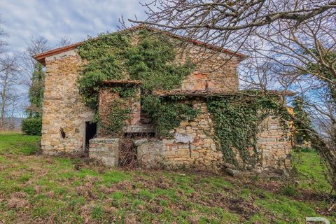 Farm hus i Pontassieve, Florence, Pontassieve - € 350.000 | Ref: R05104PORU-1331801 - foto 6
