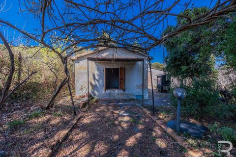Villa a Cinigiano, Grosseto, Cinigiano - € 250.000 | Ref: R06244CIEH-1331844 - foto 2