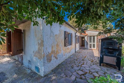 Villa a Cinigiano, Grosseto, Cinigiano - € 250.000 | Ref: R06244CIEH-1331844 - foto 3