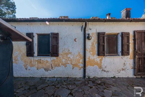 Villa a Cinigiano, Grosseto, Cinigiano - € 250.000 | Ref: R06244CIEH-1331844 - foto 5