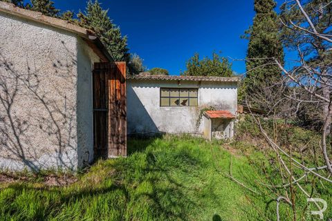 Villa a Cinigiano, Grosseto, Cinigiano - € 250.000 | Ref: R06244CIEH-1331844 - foto 7