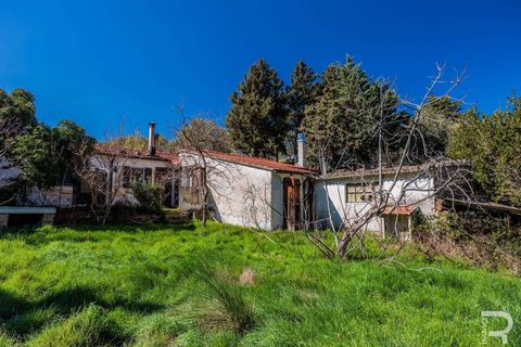 Villa a Cinigiano, Grosseto, Cinigiano - € 250.000 | Ref: R06244CIEH-1331844 - foto 9