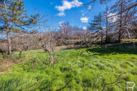 Villa a Cinigiano, Grosseto, Cinigiano - € 250.000 | Ref: R06244CIEH-1331844 - foto 15