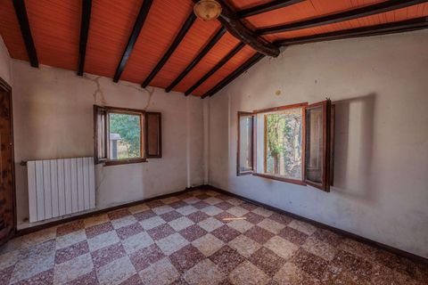 Villa a Cinigiano, Grosseto, Cinigiano - € 250.000 | Ref: R06244CIEH-1331844 - foto 24