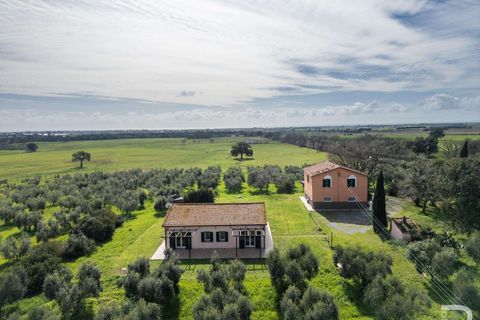 Farm hus i Capalbio, Grosseto, Capalbio - € 1.000.000 | Ref: R06270CACA-1332376 - foto 2