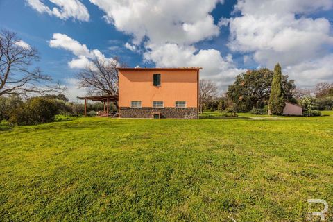 Farm hus i Capalbio, Grosseto, Capalbio - € 1.000.000 | Ref: R06270CACA-1332376 - foto 4
