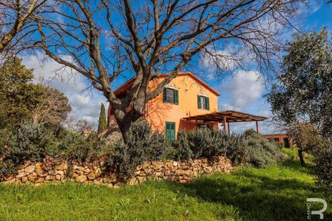 Farm hus i Capalbio, Grosseto, Capalbio - € 1.000.000 | Ref: R06270CACA-1332376 - foto 6