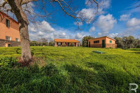 Farm hus i Capalbio, Grosseto, Capalbio - € 1.000.000 | Ref: R06270CACA-1332376 - foto 9