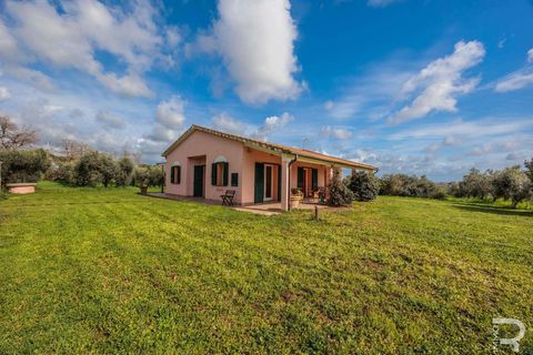 Farm hus i Capalbio, Grosseto, Capalbio - € 1.000.000 | Ref: R06270CACA-1332376 - foto 11