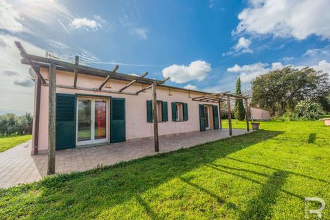 Farm hus i Capalbio, Grosseto, Capalbio - € 1.000.000 | Ref: R06270CACA-1332376 - foto 17