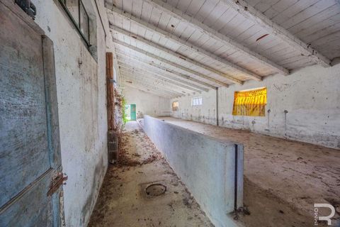 Villa a Terranuova Bracciolini, Arezzo, Terranuova Bracciolini - € 1.100.000 | Ref: R06146TERU-1332660 - foto 15