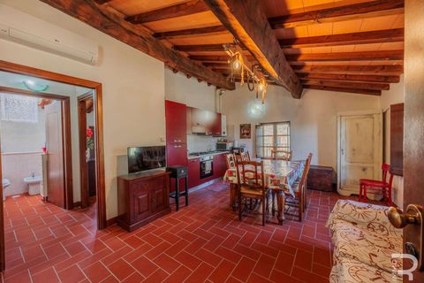 Lejlighed i Cinigiano, Grosseto, Cinigiano - € 350.000 | Ref: R06132CI3Z-1333502 - foto 12