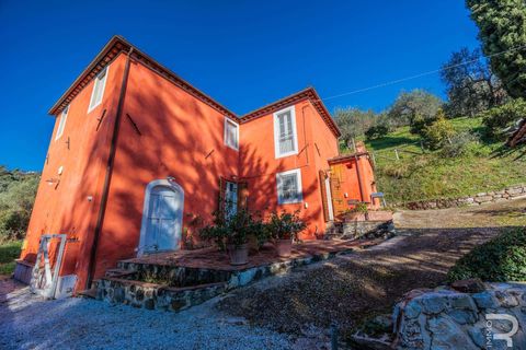 Villa i Massarosa, Lucca, Massarosa - € 845.000 | Ref: R06090MAVI-1333851 - foto 2