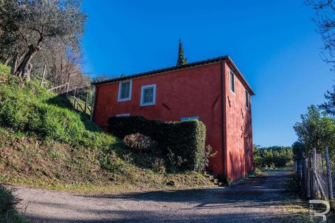 Villa i Massarosa, Lucca, Massarosa - € 845.000 | Ref: R06090MAVI-1333851 - foto 3