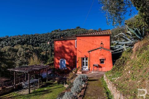Villa i Massarosa, Lucca, Massarosa - € 845.000 | Ref: R06090MAVI-1333851 - foto 9