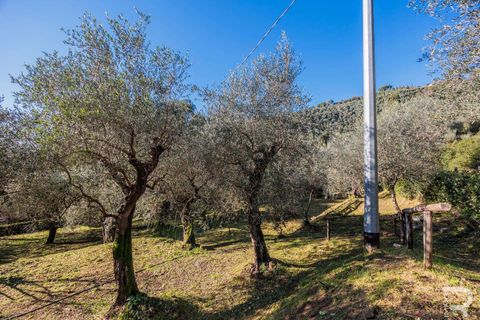 Villa i Massarosa, Lucca, Massarosa - € 845.000 | Ref: R06090MAVI-1333851 - foto 13