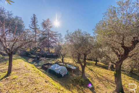 Villa i Massarosa, Lucca, Massarosa - € 845.000 | Ref: R06090MAVI-1333851 - foto 14
