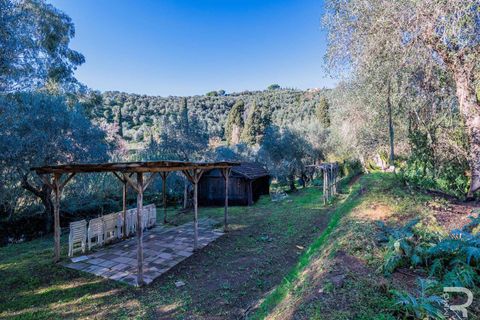 Villa i Massarosa, Lucca, Massarosa - € 845.000 | Ref: R06090MAVI-1333851 - foto 15
