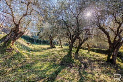 Villa i Massarosa, Lucca, Massarosa - € 845.000 | Ref: R06090MAVI-1333851 - foto 16