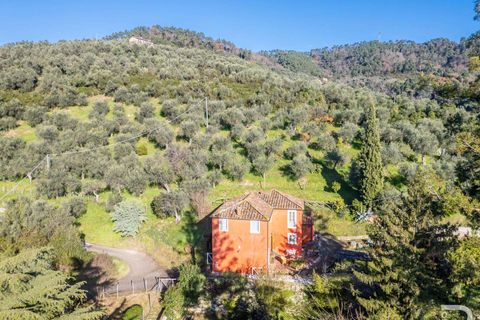 Villa i Massarosa, Lucca, Massarosa - € 845.000 | Ref: R06090MAVI-1333851 - foto 18