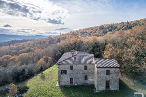 Farm hus i Bucine, Arezzo, Bucine - € 650.000 | Ref: R06043BURU-1333929 - foto 6
