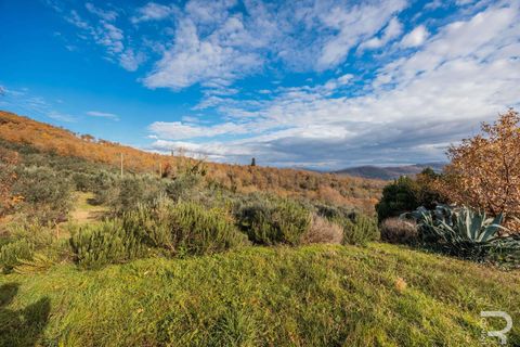 Farm hus i Bucine, Arezzo, Bucine - € 650.000 | Ref: R06043BURU-1333929 - foto 24