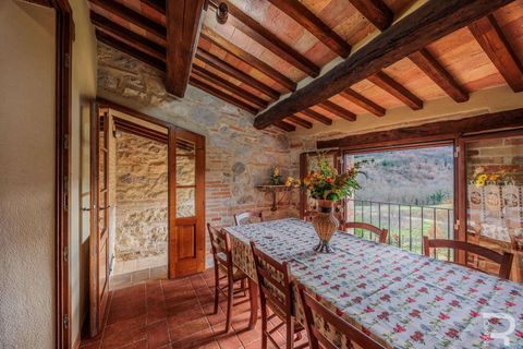 Farm hus i Radicofani, Siena, Radicofani - € 1.050.000 | Ref: R06062RARU-1334103 - foto 26