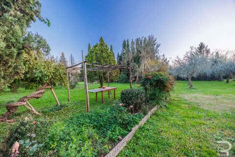 Farm hus i Buggiano, Pistoia, Buggiano - € 750.000 | Ref: R06028BURU-1334736 - foto 8